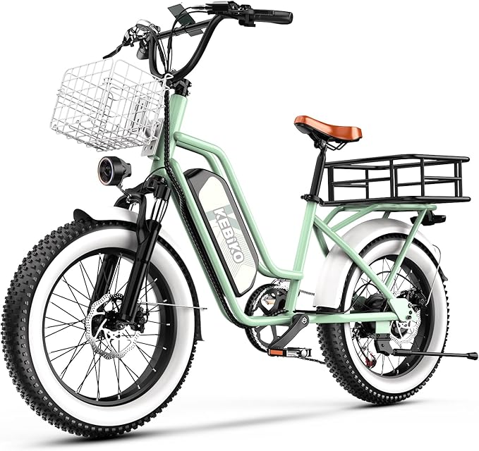 electric bicycle 30 mph 1500W Bike for Adults,48V 20/60Ah Removable Battery Max Range 80Miles & 30MPH Electric Bicycle,20''×4