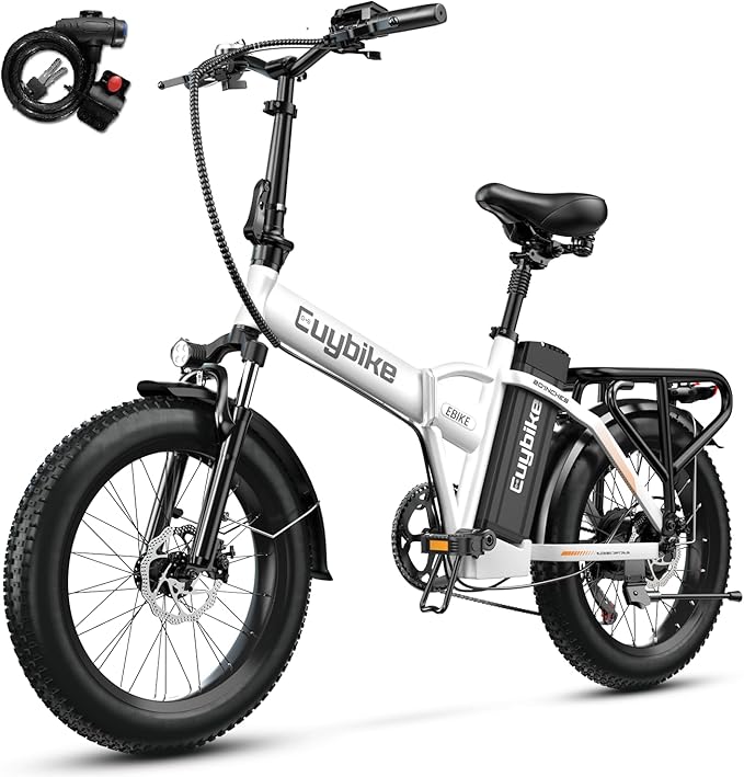 1000W Folding Electric Bike, 48V 20AH Large Removable Battery E Bike, – The Spa of Charleston