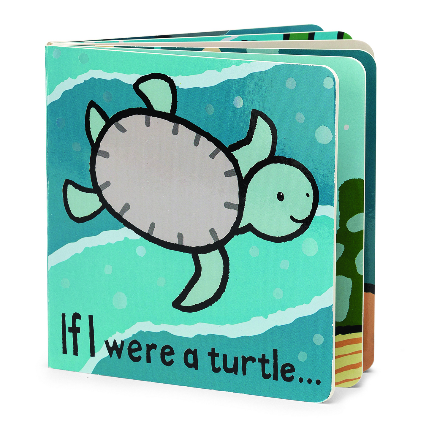 If I Were a Turtle Book