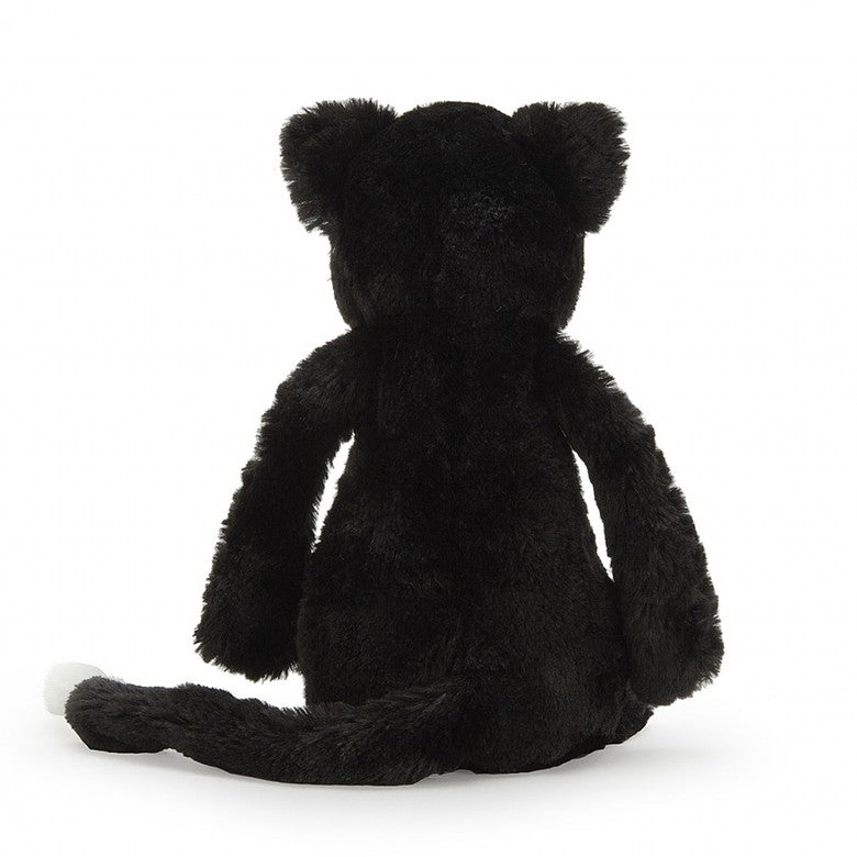 Bashful Black & White Kitten _ Small