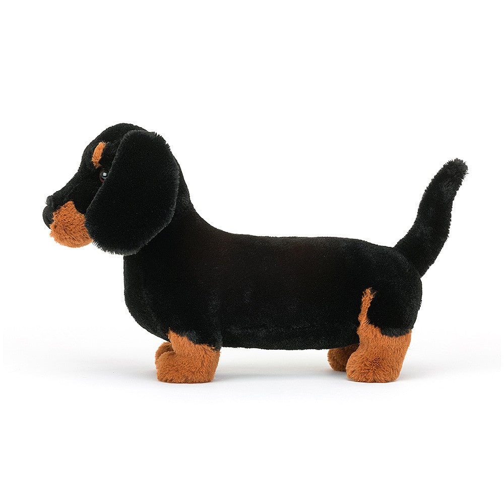 Freddie the Sausage Dog