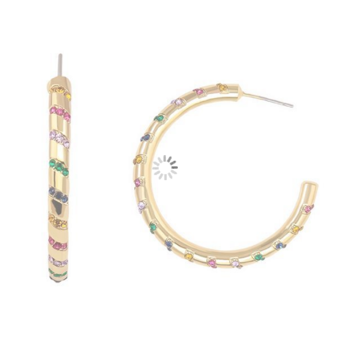 Rainbow Hoop Earrings