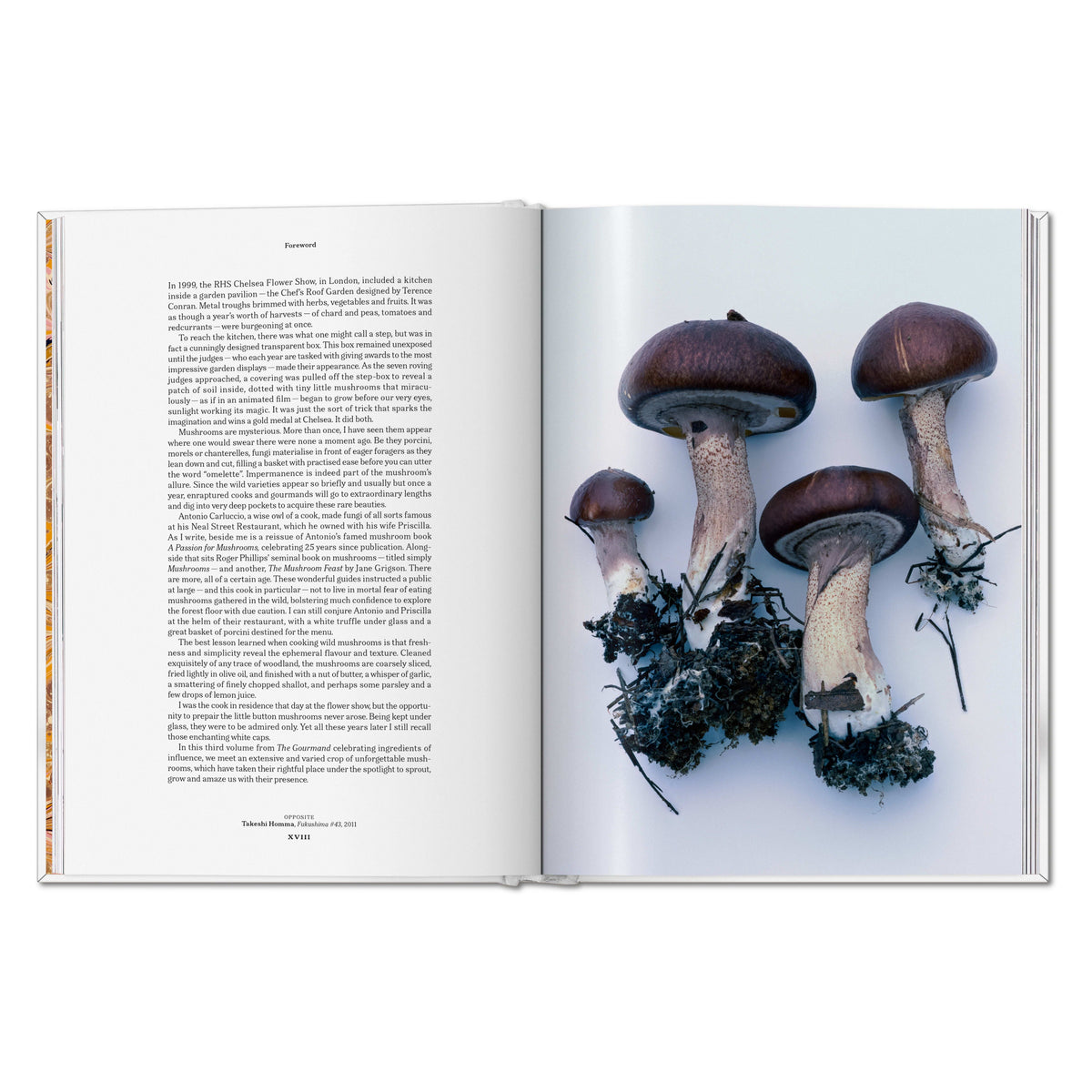 The Gourmand's Mushroom. A Collection of Stories and Recipes (English)
