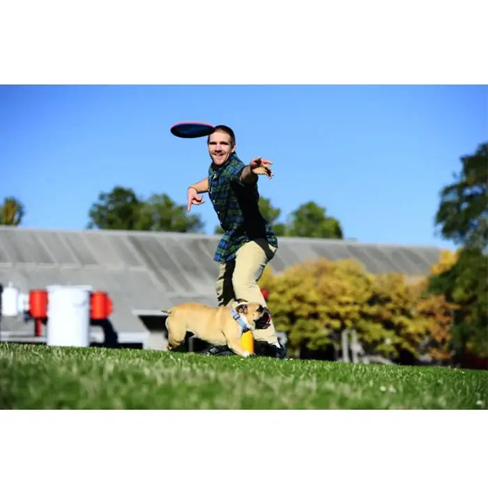 Chuckit Paraflight Flyer Dog Toy Lightweight Aerodynamic Small
