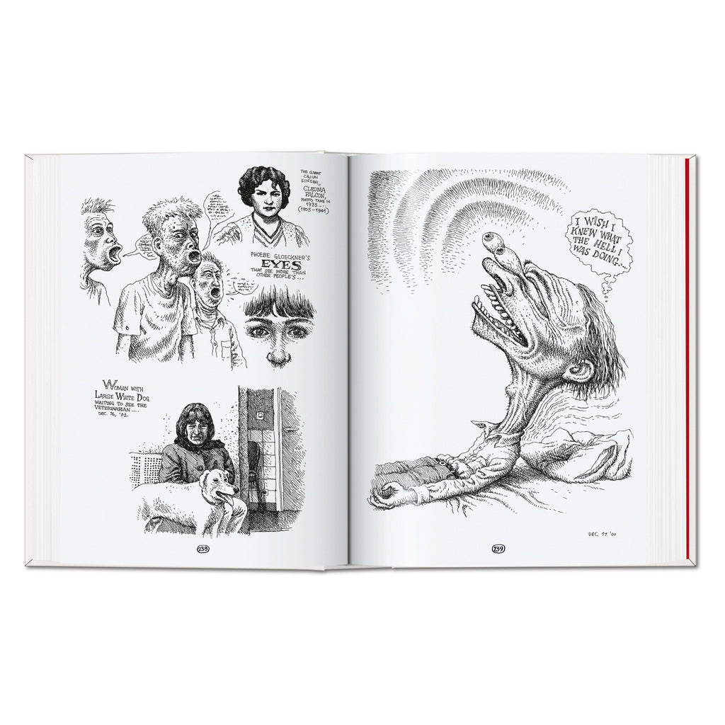 Robert Crumb. Sketchbook Vol. 6. 1998–2011 (English)