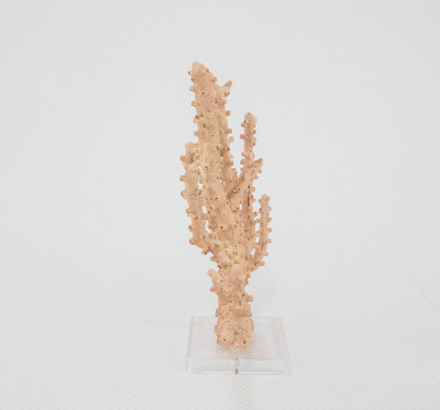 Lillian Home - Coral Pink