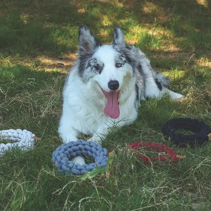 M-Pets Coto Cotton Rope Ring Dog Toy White 18cm