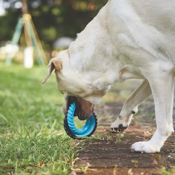 M-Pets Ring King Double Dog Toy Durable Dual Ring Blue & Black