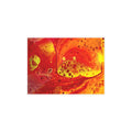 Bespattered Facade Flamin' Hot Postcards (no envelopes) | Sets of 10, 30, or 50