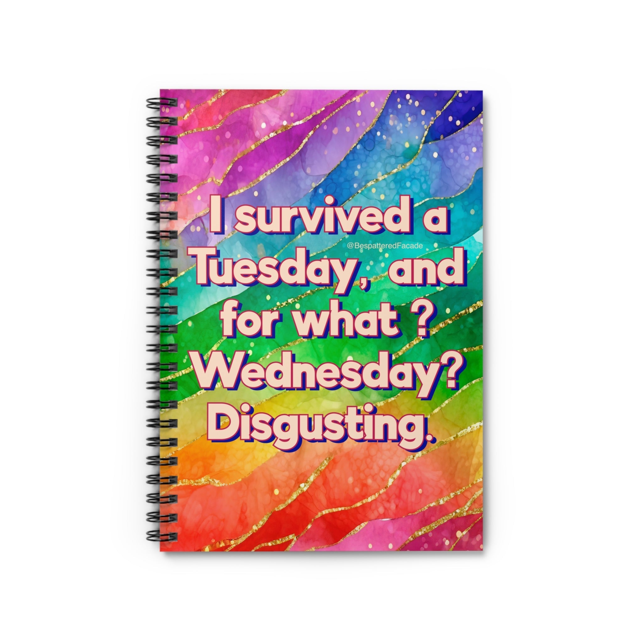 Bespattered Facade Rainbow "Wednesday" Spiral Notebook - Lined Pages