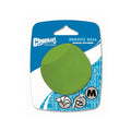 Chuckit Erratic Ball Durable Rubber Dog Fetch Toy Medium 6.4cm