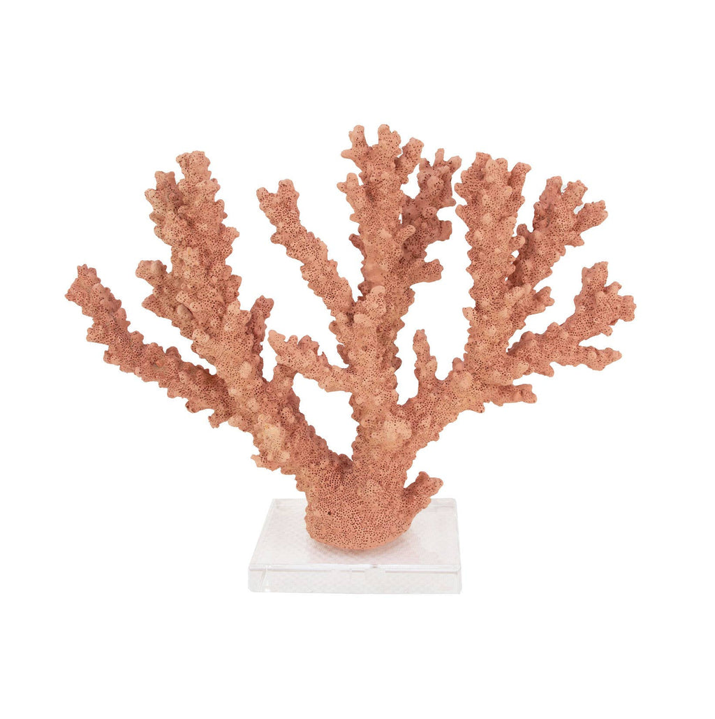 Lillian Home - Coral Burst