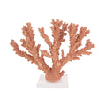 Lillian Home - Coral Burst