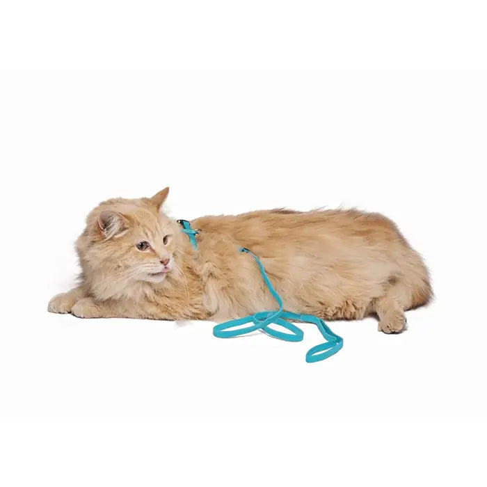 M-Pets Catogo Adjustable Cat Harness and Leash Set Blue
