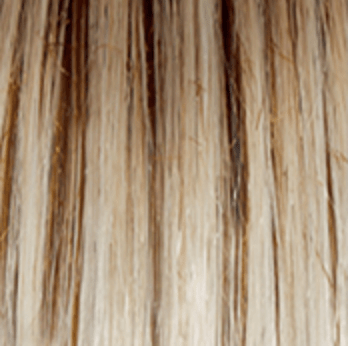 Eva Gabor Soft and Subtle Synthetic Lace Front Wig Mono Part New - Choose Size