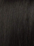 Raquel Welch Ahead of the Curve Wig, New With Tags