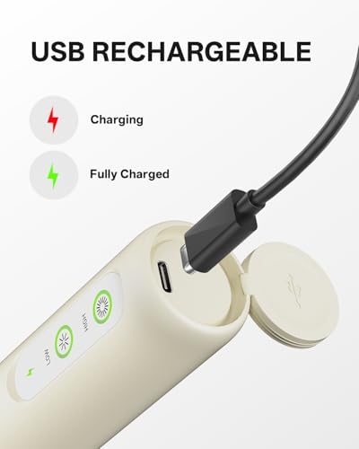 CIRCLE JOY Rechargeable 2-Speed Milk Frother