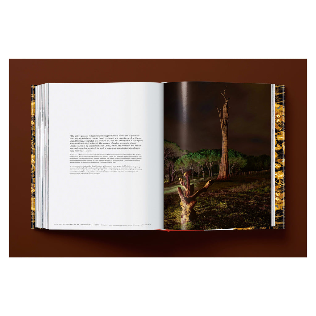 Ai Weiwei. Updated Edition (German, French, English)