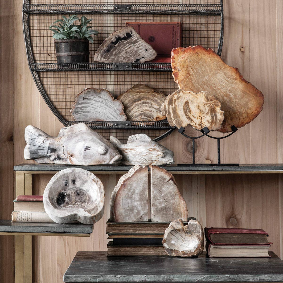 Petrified Wood Koi Fish: Large