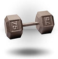 Body-Solid Cast Iron Hexagon Dumbbell, Hand Weights For Men and Women, Weight Dumbbells for Strength Training, Body Building Home Gym Training Gear