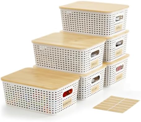 Bagnizer Small Plastic Storage Bins