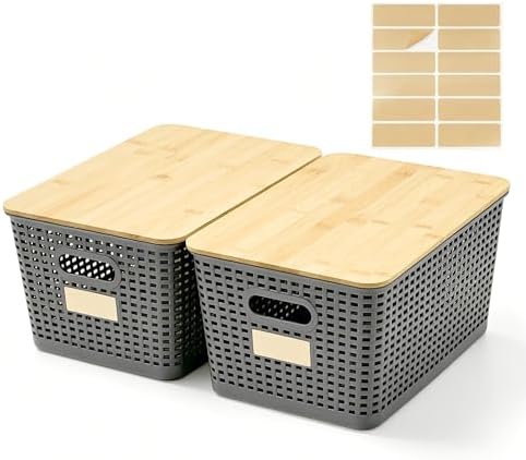 Bagnizer 2 Pack Tall Plastic Storage Bins