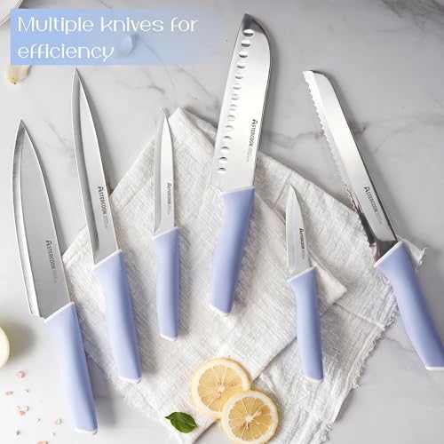 Astercook Kitchen Knife Set