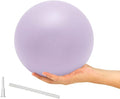 9 Inch Exercise Pilates Ball Mini Exercise Barre Ball for Yoga,Stability Exercise Training Gym Anti Burst and Slip Resistant Balls Physical Therapy Improves Balance, Core Strength