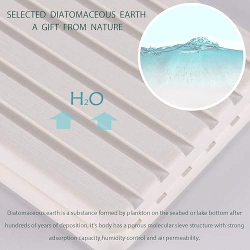 NiuYichee 2 PCS Water Absorbent diatomite Coasters, 8.3" x 4" Water Absorbing