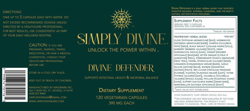 Divine Defender