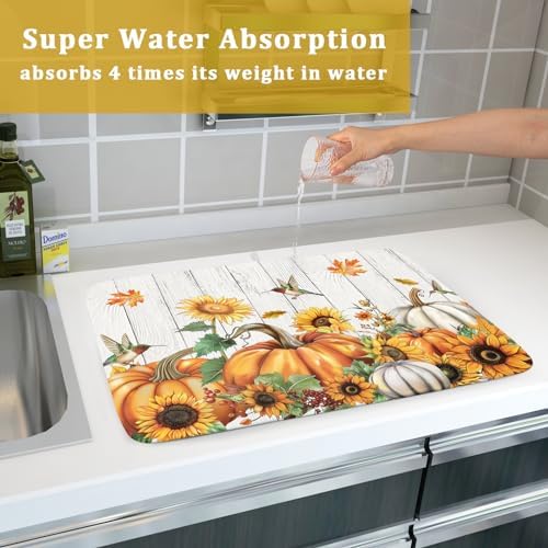 Autumn Harvest Pumpkin Dish Drying Mat