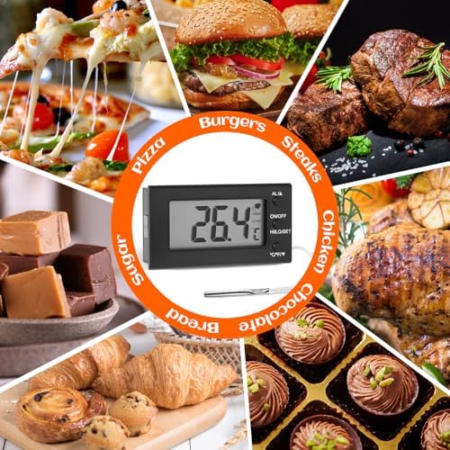 Digital Oven Thermometer -58°F to 572°F/-50°C-300°C, Thermometer