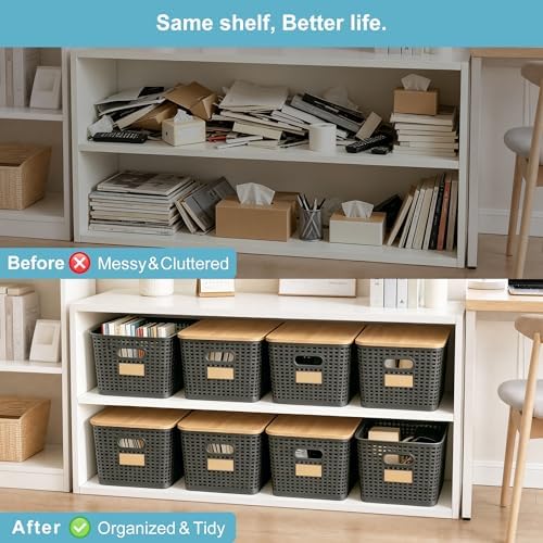 Bagnizer 2 Pack Tall Plastic Storage Bins