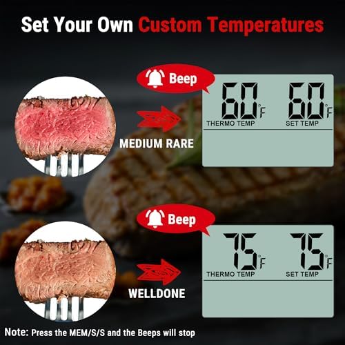 TempPro TempTrack Large LCD Digital Meat Thermometer