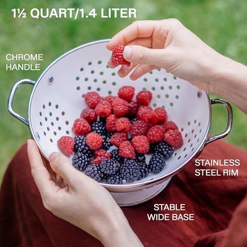 Reston Lloyd, 1.5 Quart Powder Coated Steel Kitchen Strainer Basket