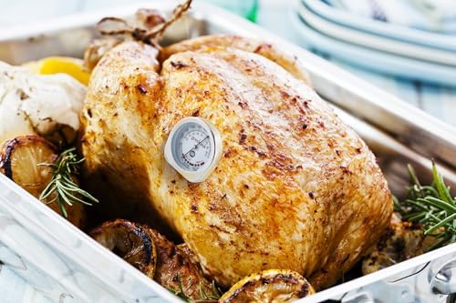 GoodCook Everyday Meat Thermometer