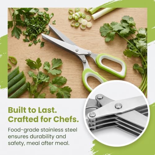 5 Blade Herb Scissors with Cleaning Comb, Thickened Stainless Steel Kitchen