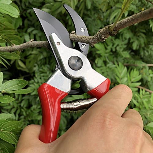 gonicc 8" Professional Sharp Bypass Pruning Shears