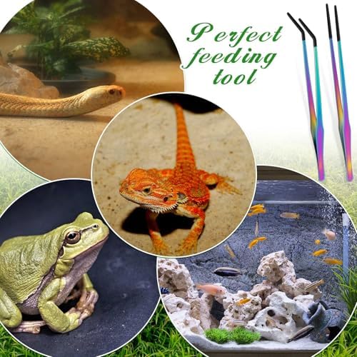 Lasnten 2 Pcs Extra Long Stainless Steel Reptile Feeding Tongs
