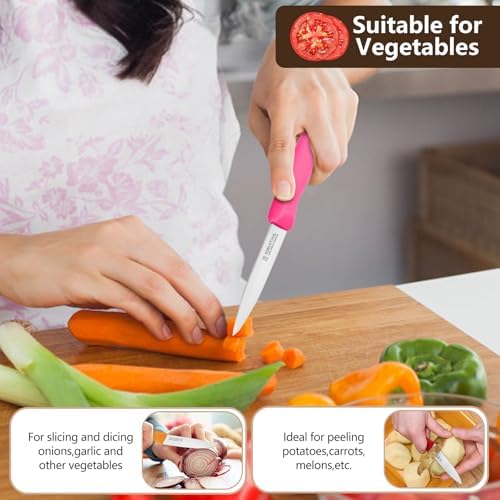 Paring Knife Fruit Knife Set, Small Kitchen Knife