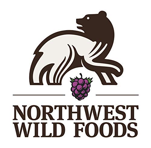 Black Currant Powder - Northwest Wild Foods - Sweet Antioxidant Healthy Pure Dried Fruit Natural Hand Harvested - in Smoothies, Oatmeal, Dessert (1 Pound)
