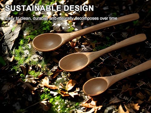 6PCS Small Wooden Spoons for Eating, 3 Sizes Wooden Teaspoons
