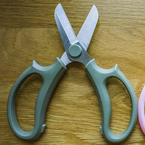 Leize Flower Scissors, Premium Thickened Stainless Steel Floral Shears