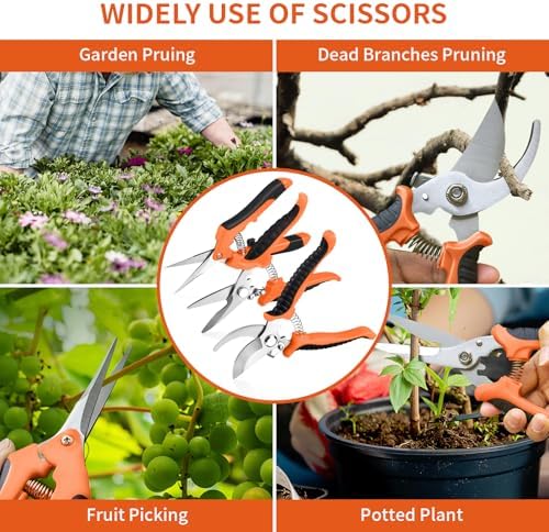 3 Pack Garden Pruning Shears, Stainless Steel Shears, Gardening Shears Scissors
