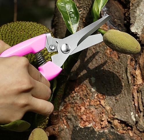 2pcs Garden Flower Shears Pruning Shears 6.9 inches Scissors Lightweight Plant
