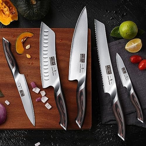 HOSHANHO Knife Set with Magnetic Knife Holder