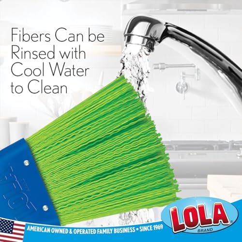 LOLA Heavy Duty Whisk Broom, Hand Brush, Durable Bristles, Whisks Away Dirt &