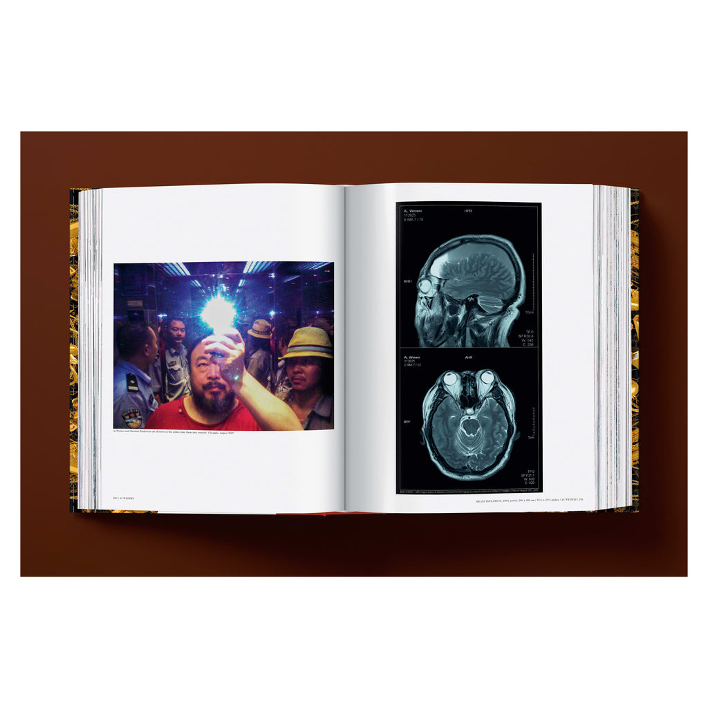 Ai Weiwei. Updated Edition (German, French, English)