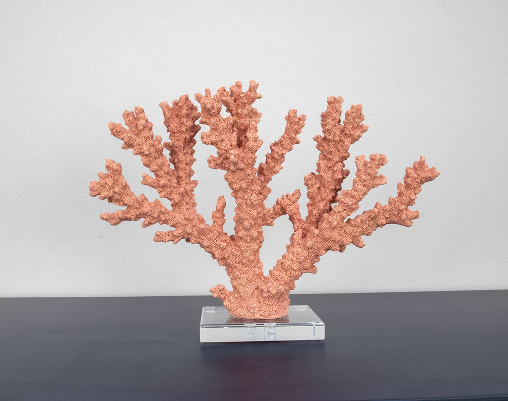 Lillian Home - Coral Burst