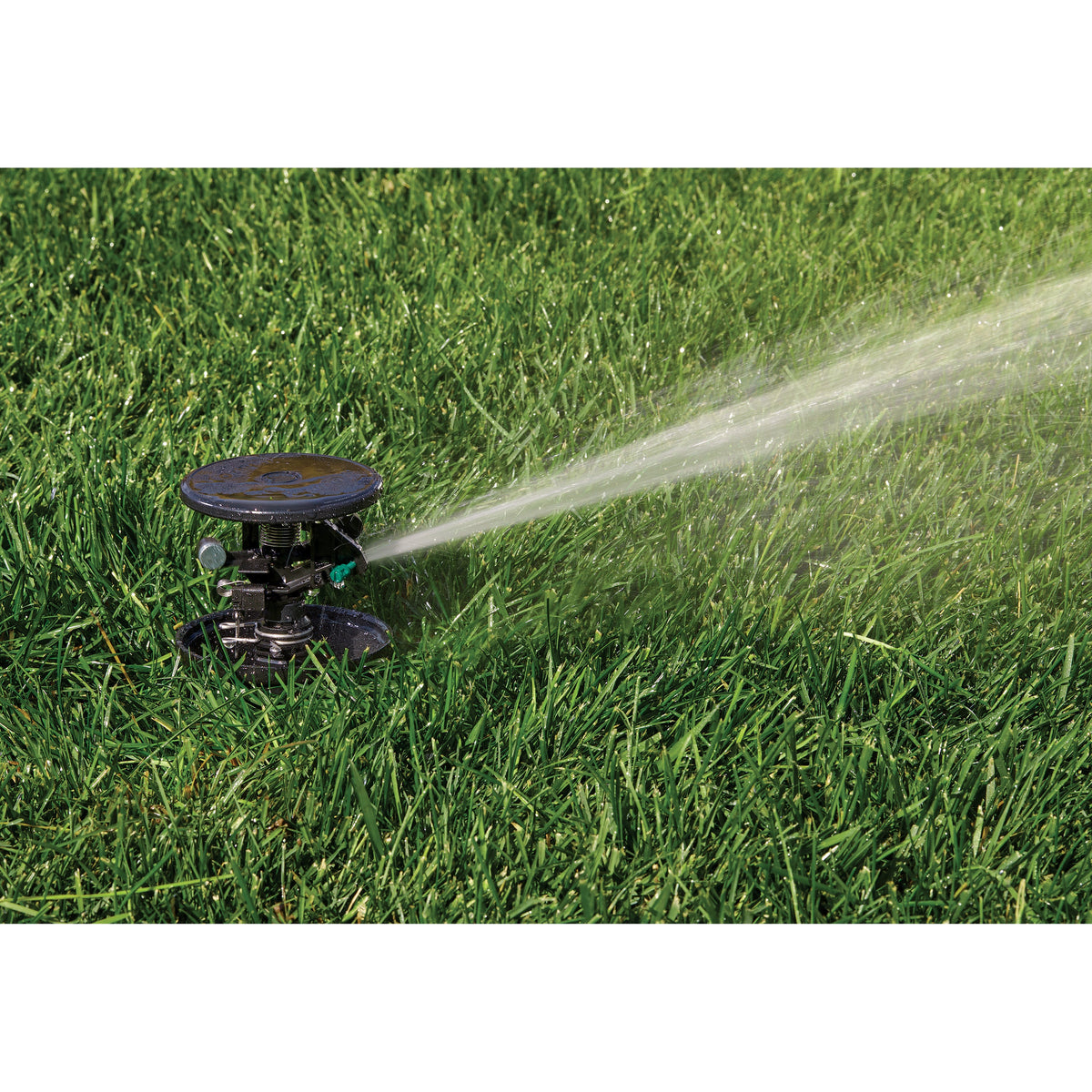 Pulse Pop-Up Impact Rotor Sprinkler in Canister 55200